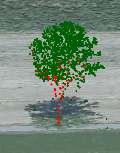 Punktwolke Einzelbaum